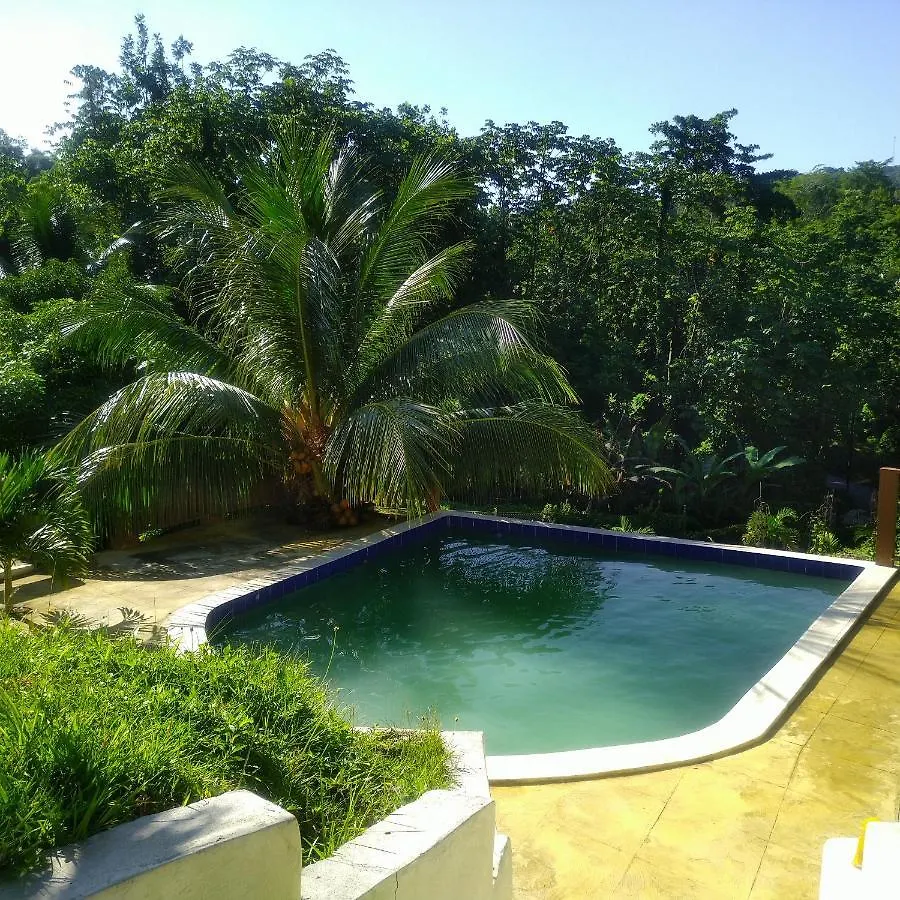 Apartment Tha Lagoon Spots Cool Vybz Port Antonio